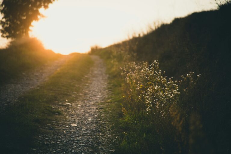 Welcome to the Journey