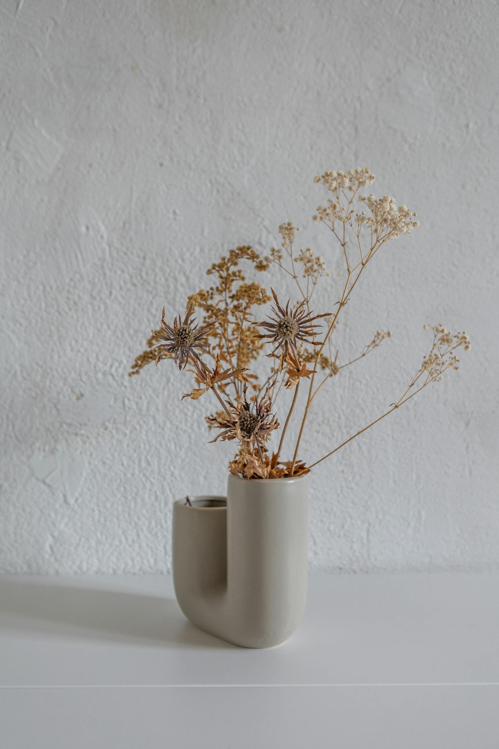 A simple, minimalist arrangement of dried flowers in a modern vase on a textured background.